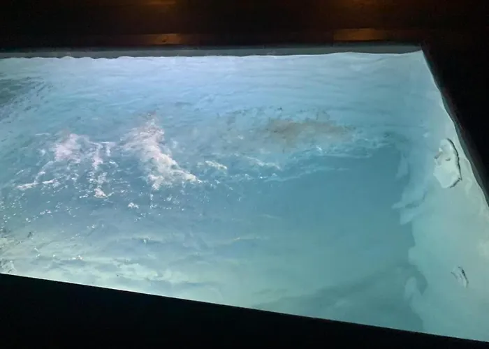 De Madelief 6-persoons * Lievelde